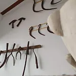 Ξενοδοχείο Ca Les Senyoretes Otos